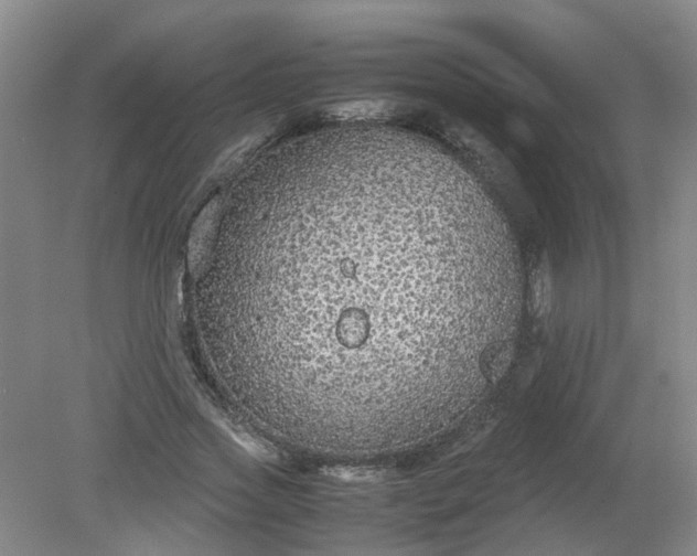 X0000079320733200612011841