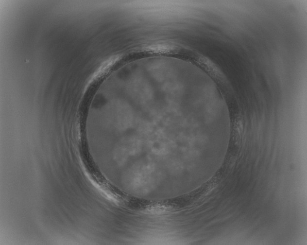 X0000079320734200612011841