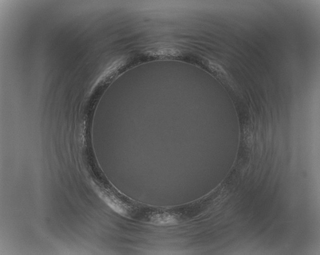 X0000079320735200612011841