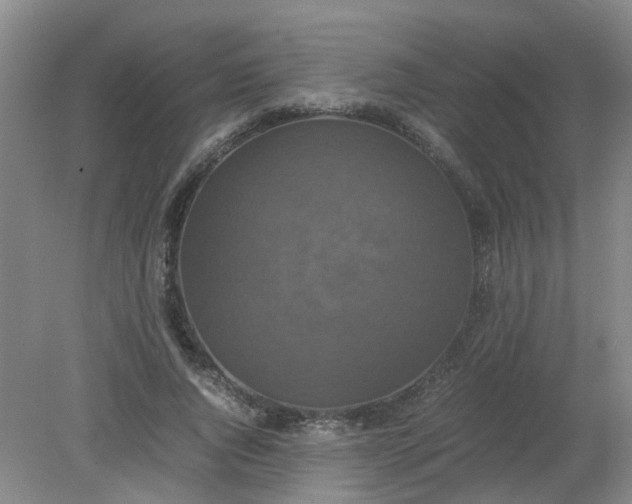 X0000079320736200612011841