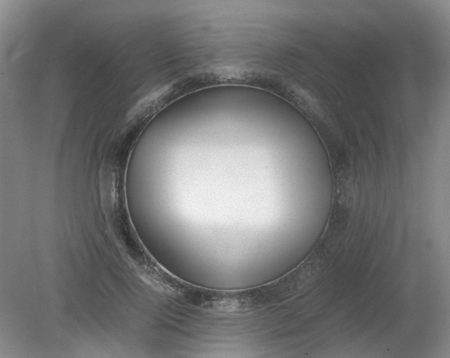 X0000079320740200612011841