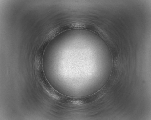 X0000079320741200612011841