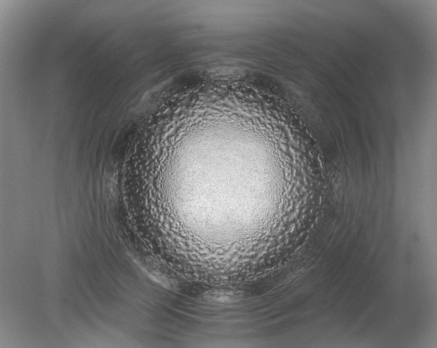 X0000079320745200612011842