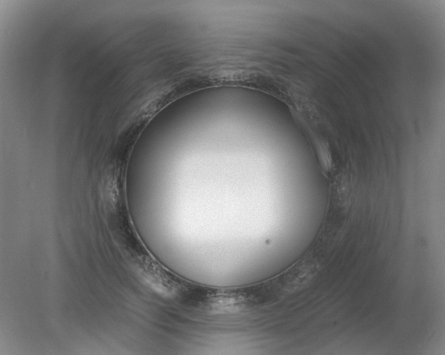 X0000079320746200612011842