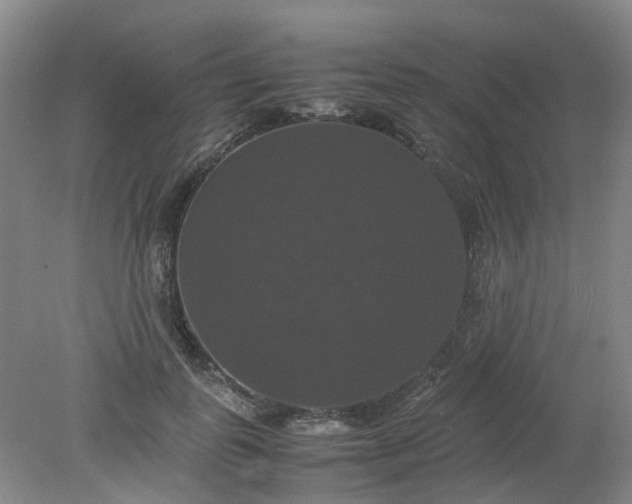 X0000079320747200612011842