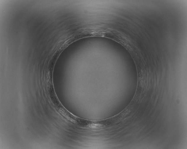 X0000079320748200612011842