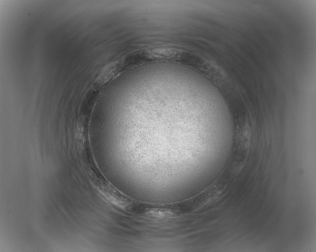 X0000079320749200612011842