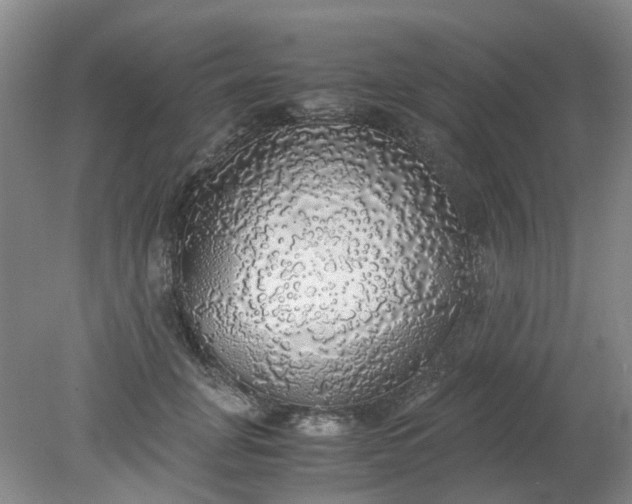 X0000079320751200612011842