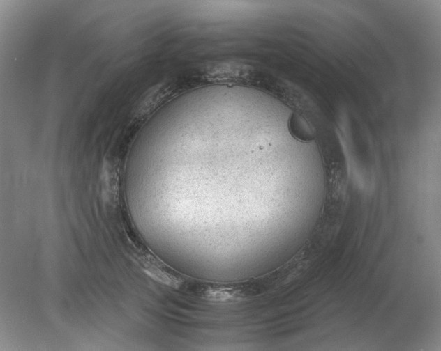 X0000079320753200612011842