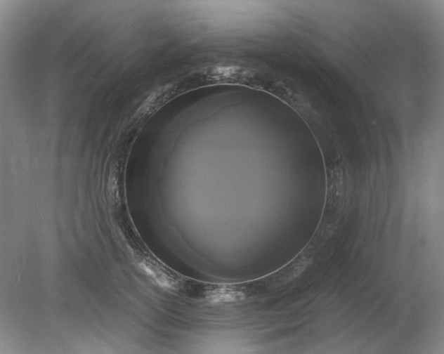 X0000079320754200612011842