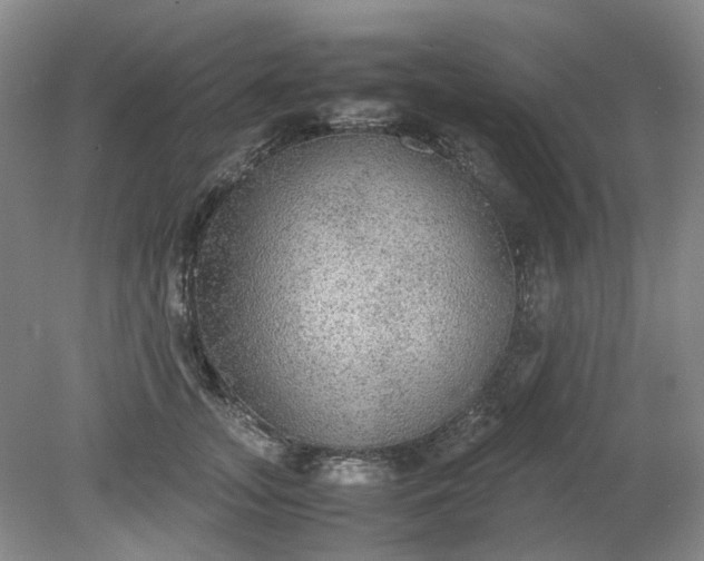 X0000079320755200612011842