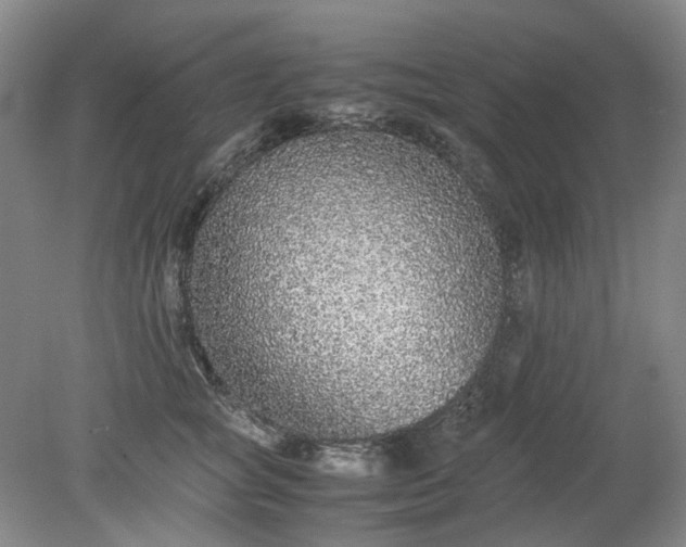 X0000079320757200612011842