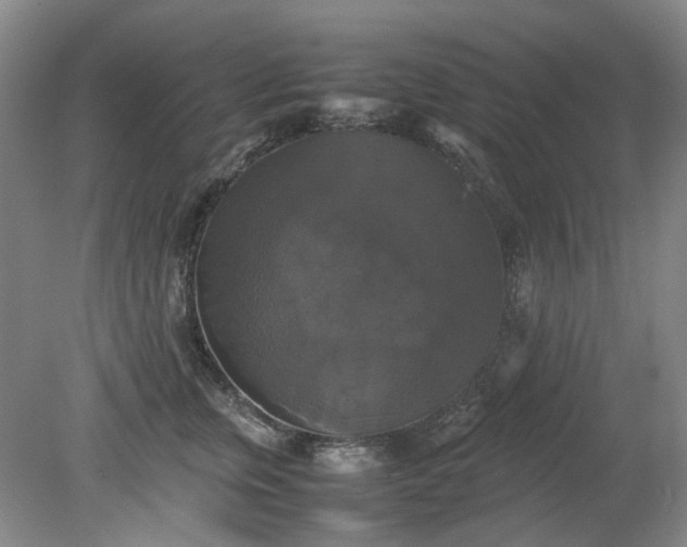 X0000079320759200612011842