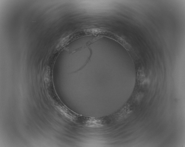 X0000079320760200612011842