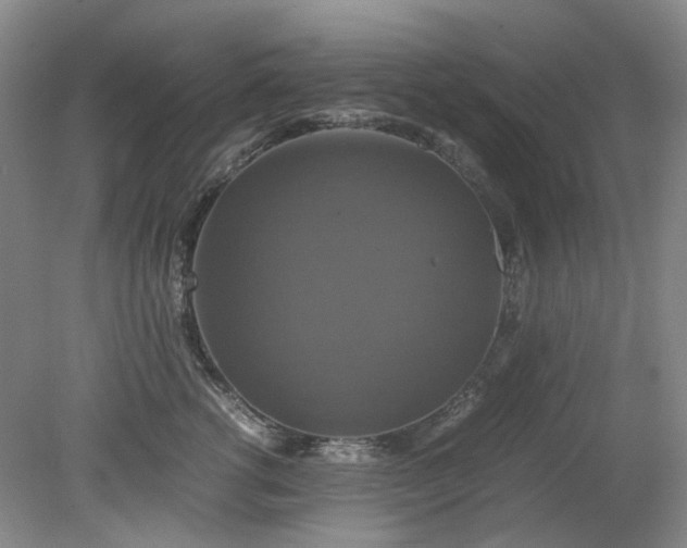 X0000079320762200612011842