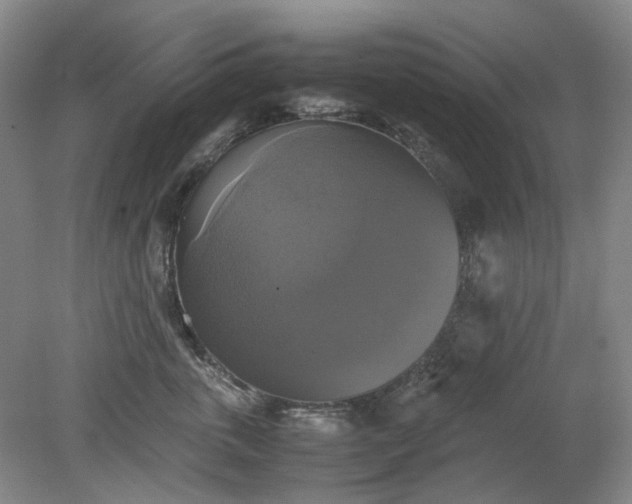 X0000079320763200612011842