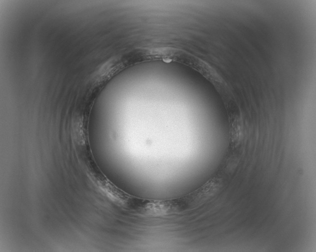 X0000079320764200612011842