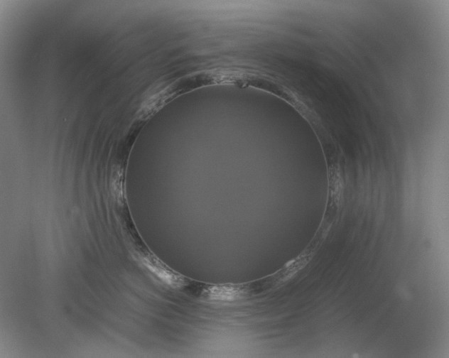 X0000079320766200612011842