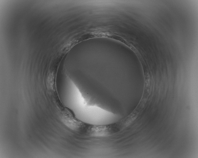 X0000079320767200612011842