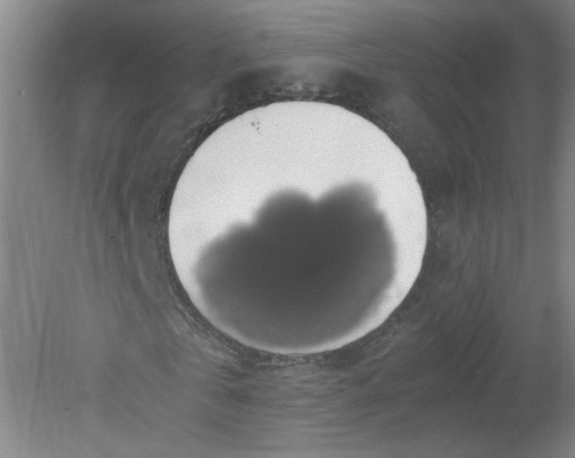 X0000079320769200612011841