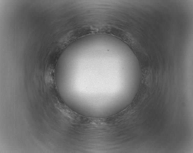 X0000079320770200612011841