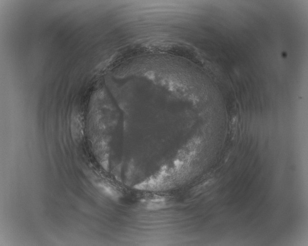 X0000079320772200612011841