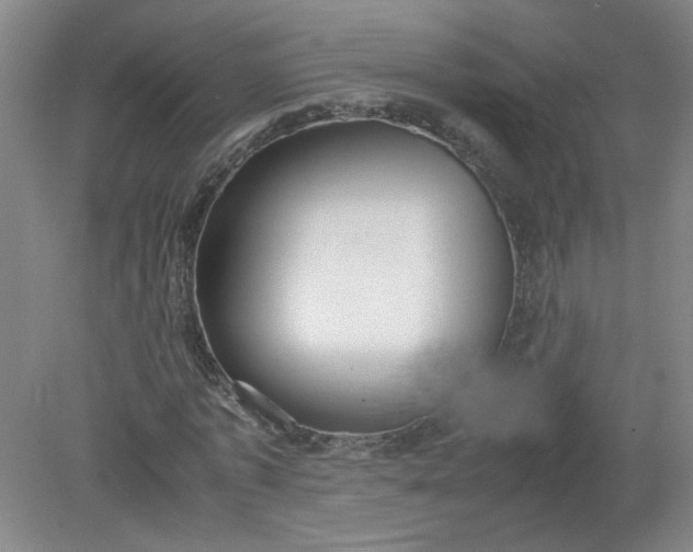 X0000079320773200612011841