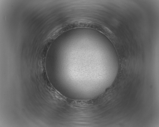 X0000079320774200612011841