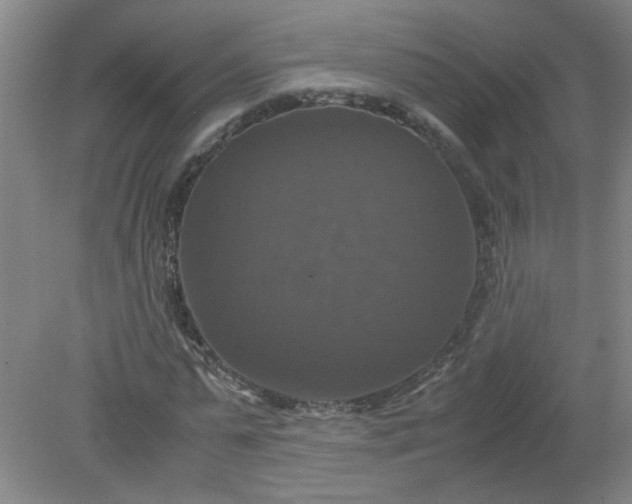 X0000079320775200612011841