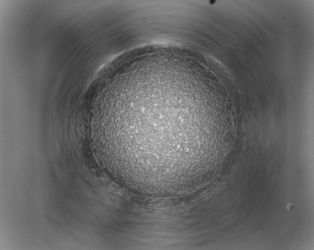 X0000079320776200612011841