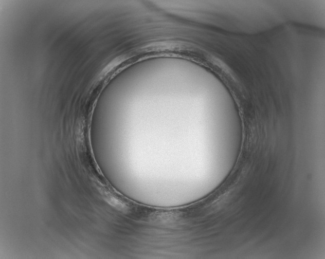 X0000079320778200612011841