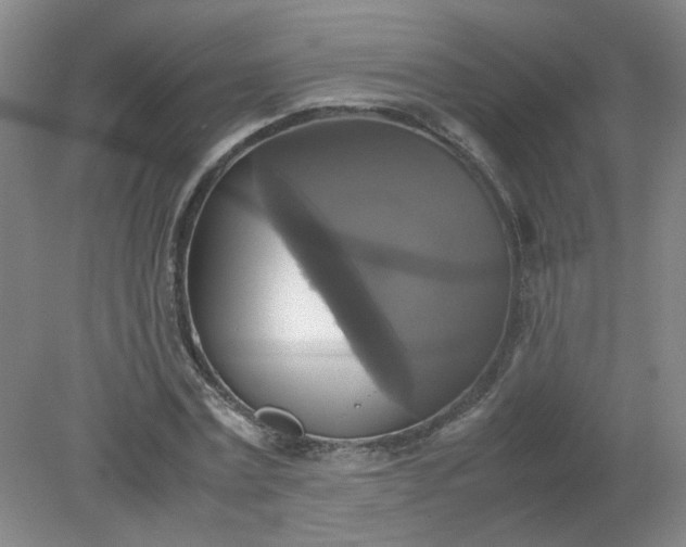 X0000079320779200612011841