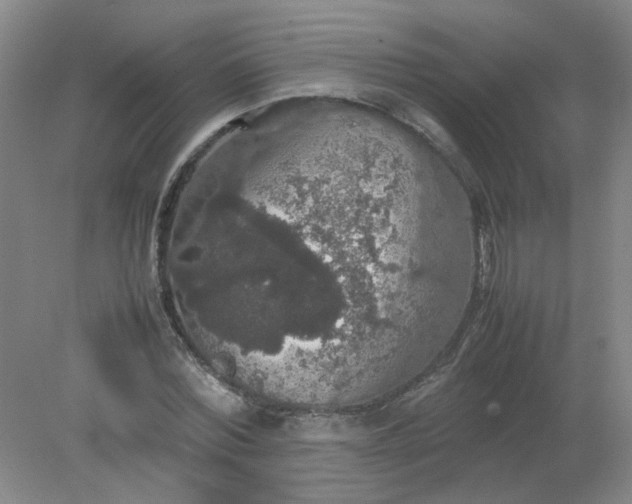 X0000079320780200612011841