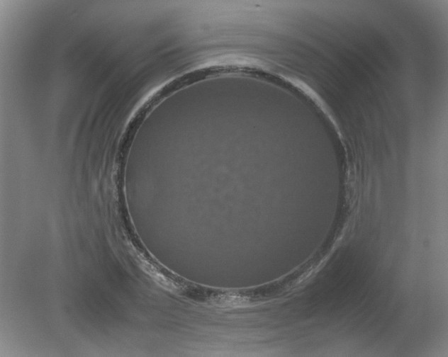 X0000079320783200612011841