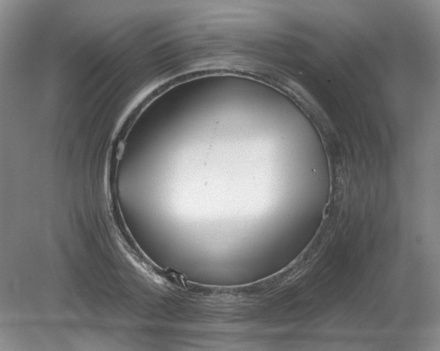 X0000079320788200612011841