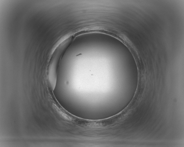 X0000079320789200612011841