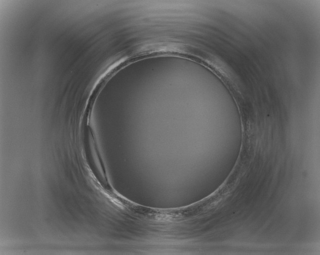 X0000079320790200612011841