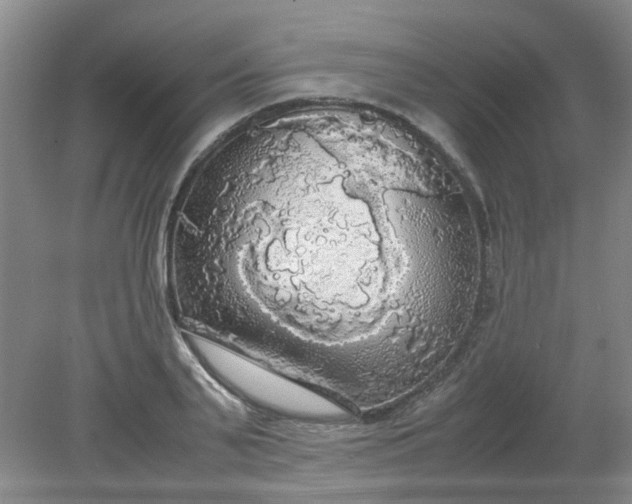 X0000079320791200612011841