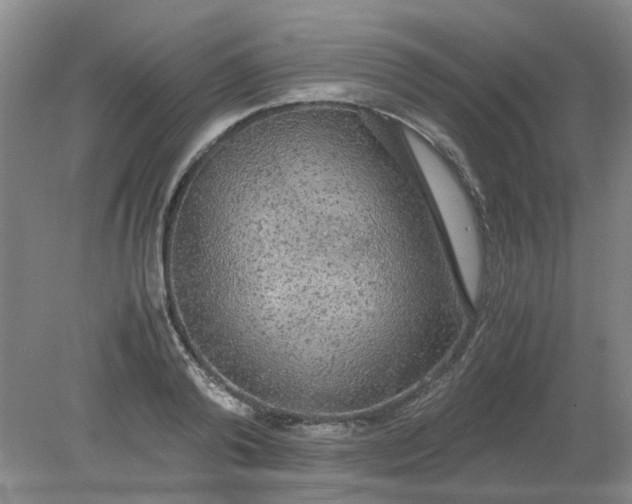 X0000079320792200612011841