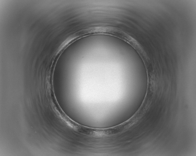 X0000079320794200612011841