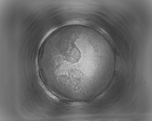 X0000079320796200612011841