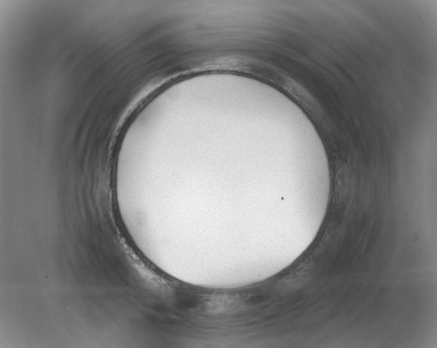 X0000079320800200612011841