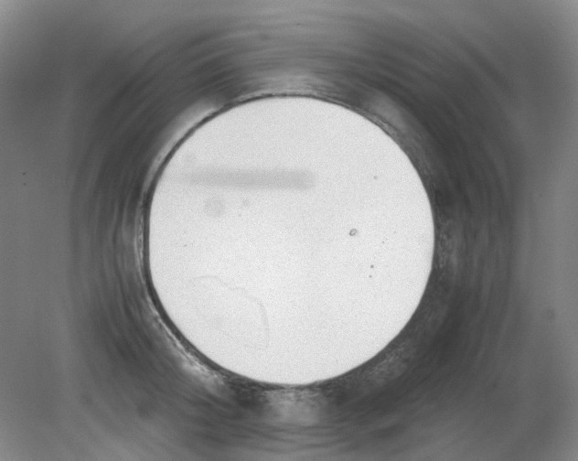 X0000079320804200612011841