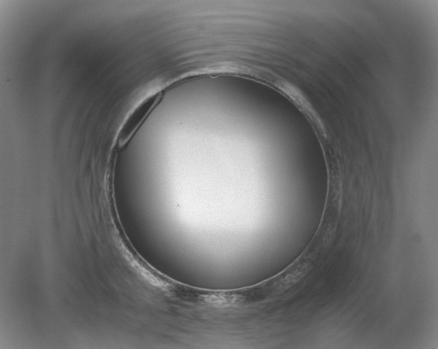 X0000079320805200612011841