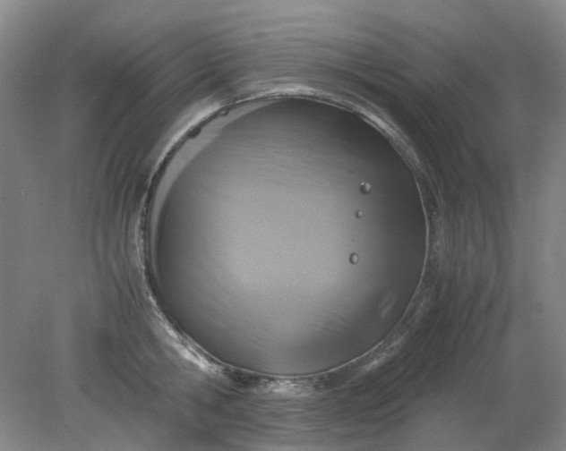 X0000079320806200612011840