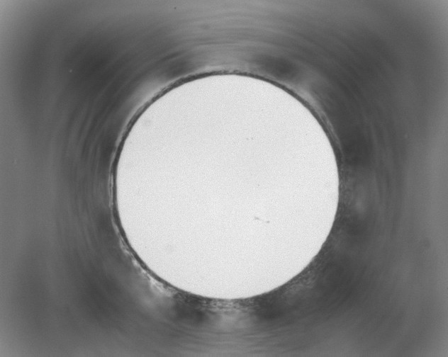 X0000079320807200612011840