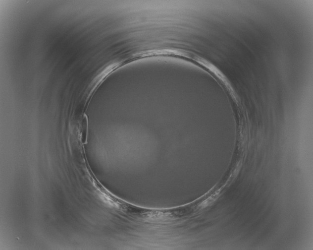 X0000079320809200612011840