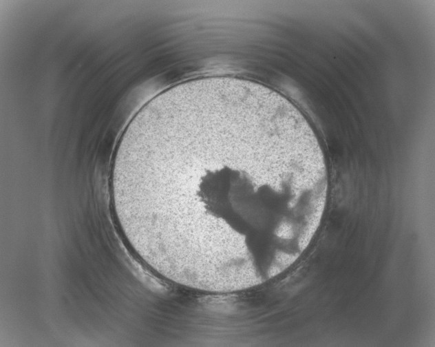 X0000079320810200612011840