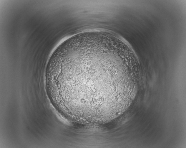 X0000079320811200612011840