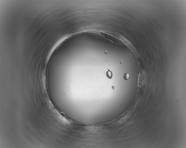 X0000079320812200612011840